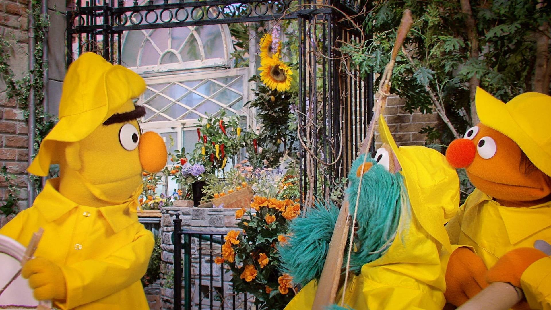 Sesame Street Staffel 50 :Folge 18 