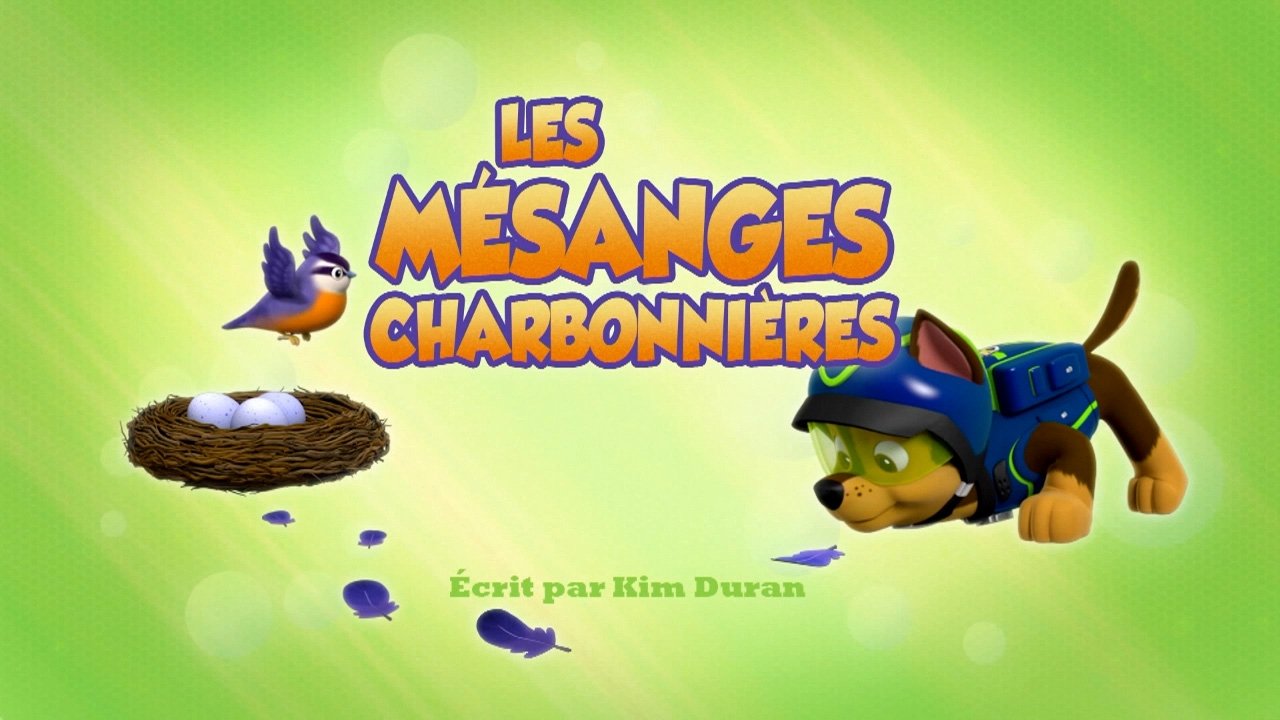 La Pat' Patrouille 3x22