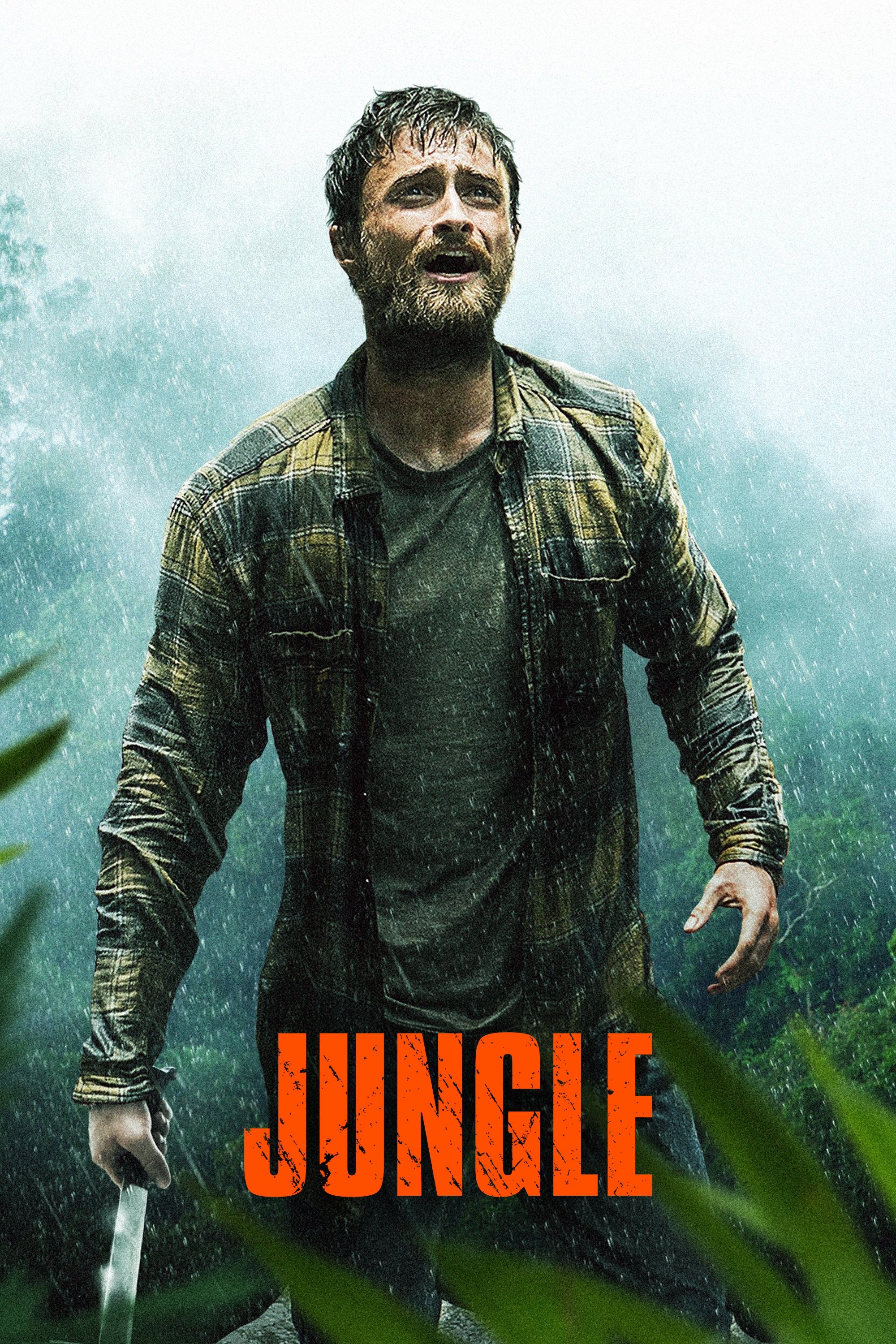 Jungle