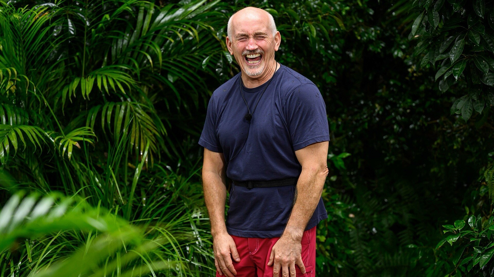 I'm a Celebrity...Get Me Out of Here!