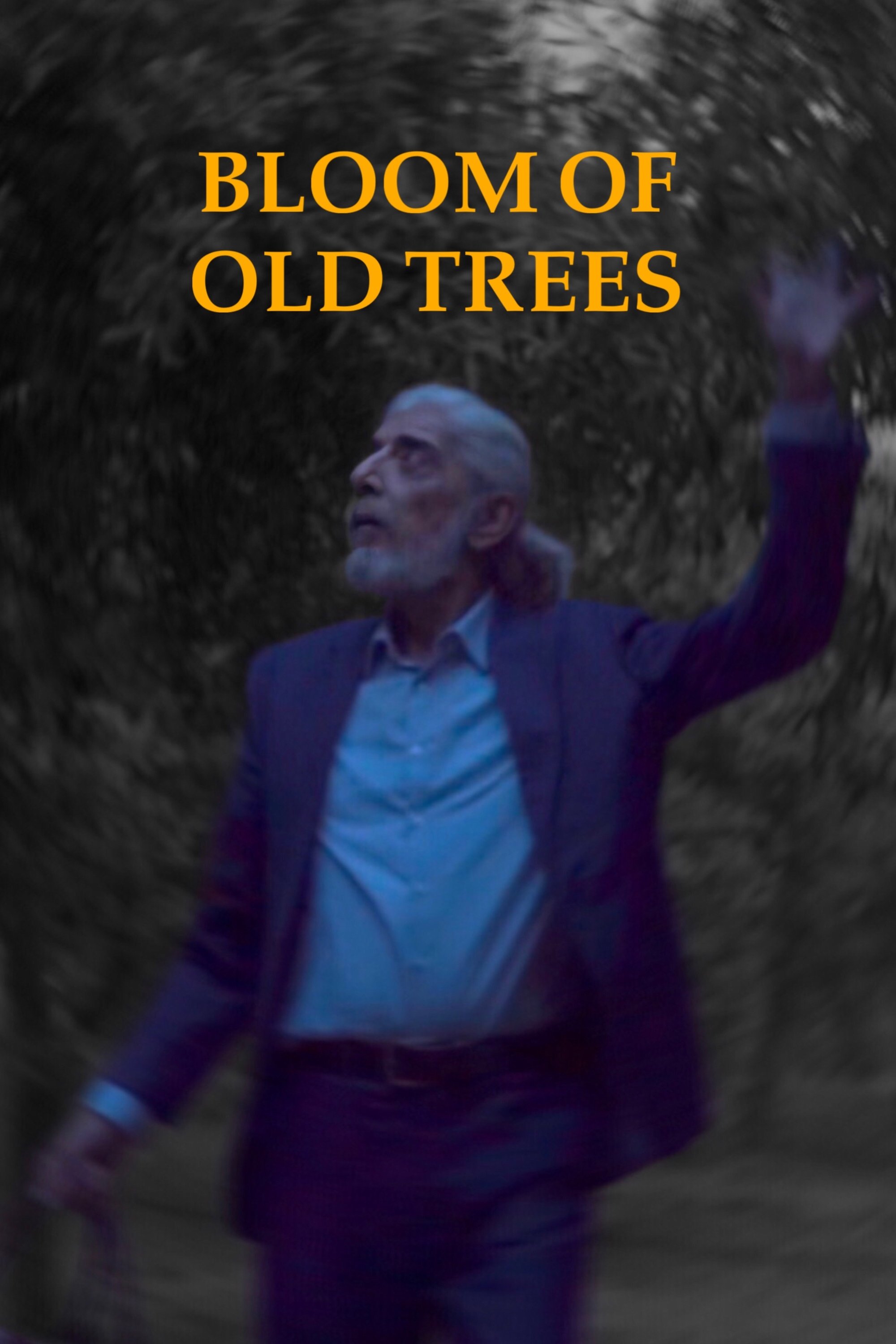 Bloom of Old Trees