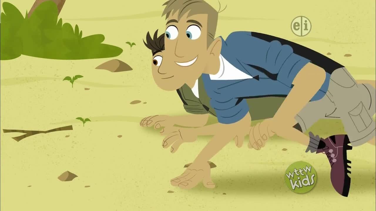Wild Kratts - Épisode 1