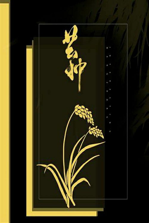 音阙诗听&赵方婧 - 芒种