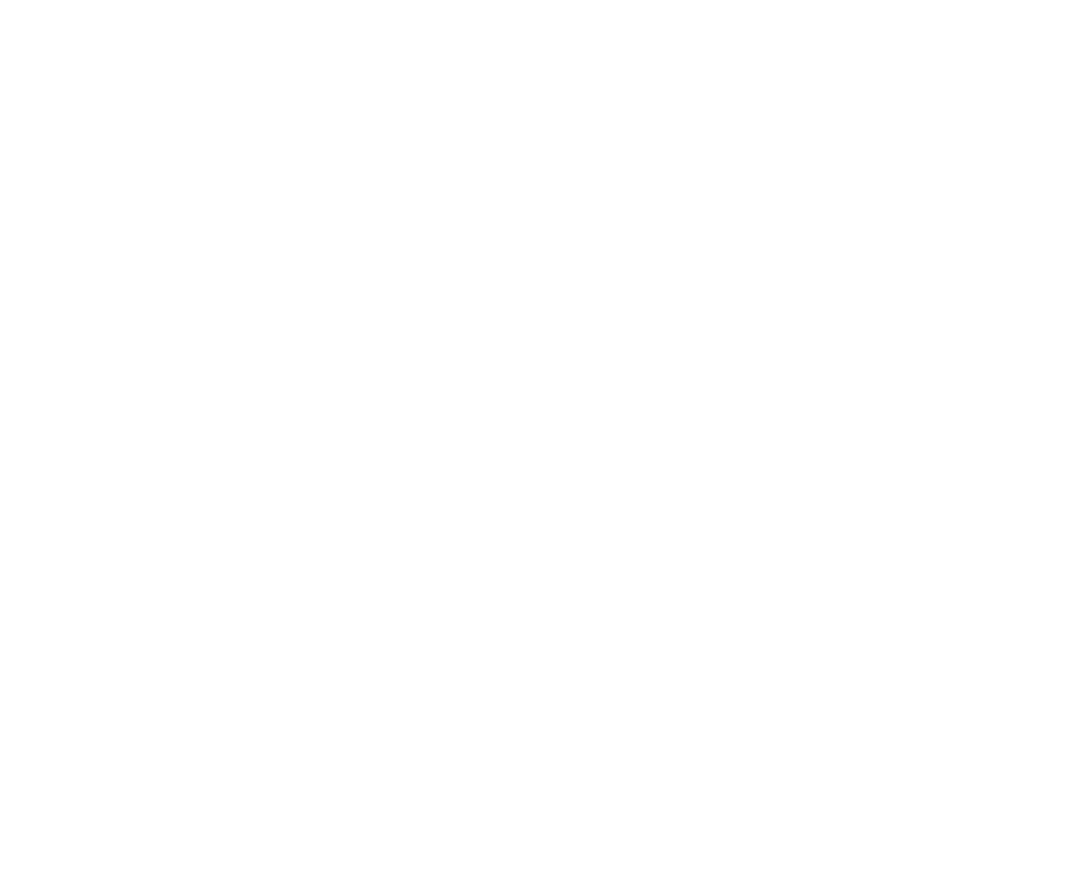AMAIM Warrior at the Borderline Logo