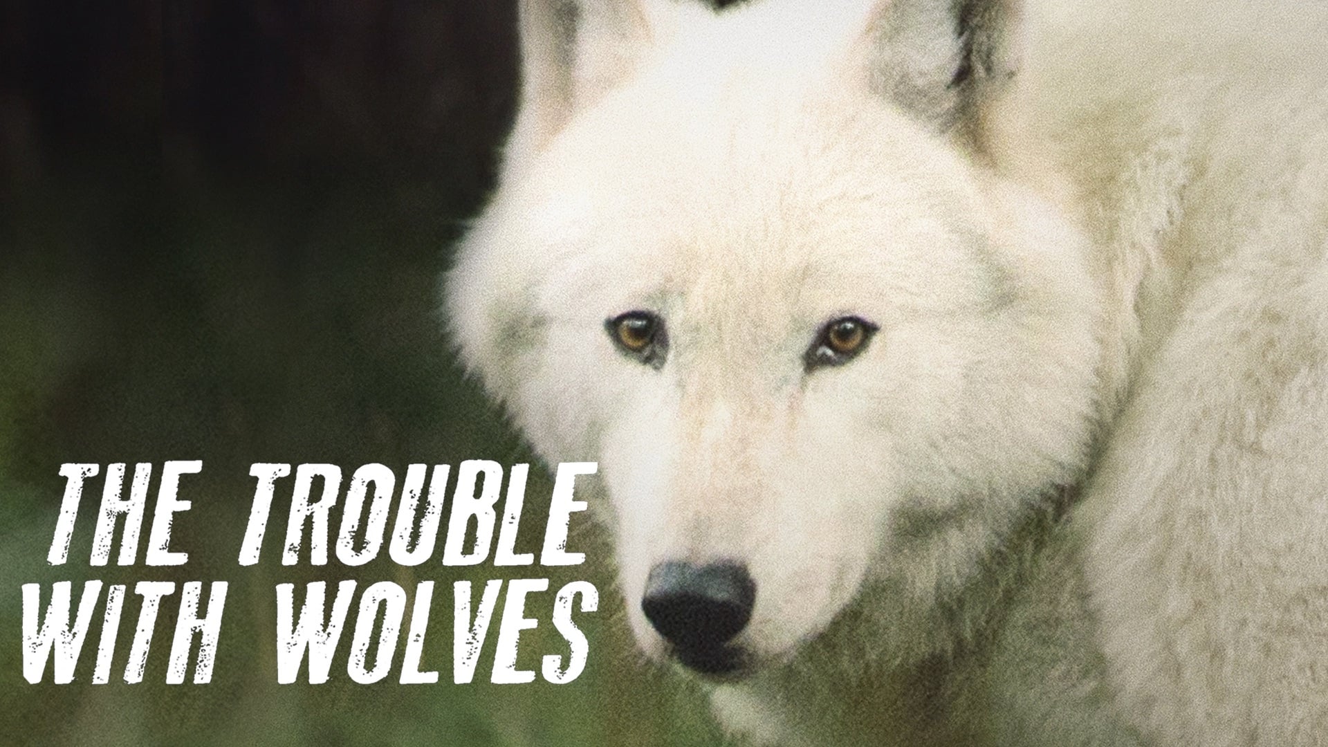 The Trouble with Wolves (2018)