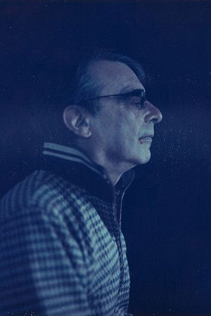 et billede af Saul Levine