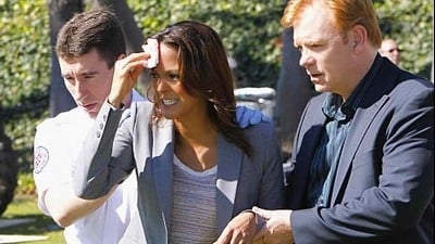 CSI: Miami 9x18