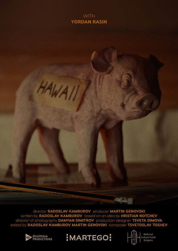 Hawaii Poster