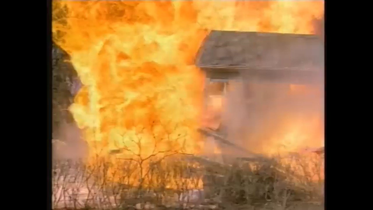 C.A.T. Squad (1986)