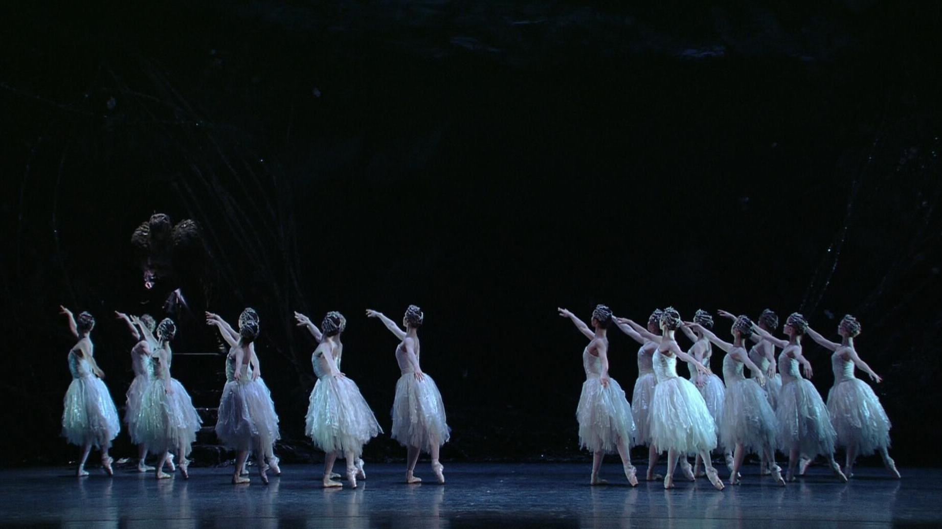 Swan Lake (2009)