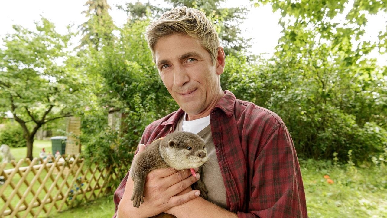 Löwenzahn Staffel 37 :Folge 9 