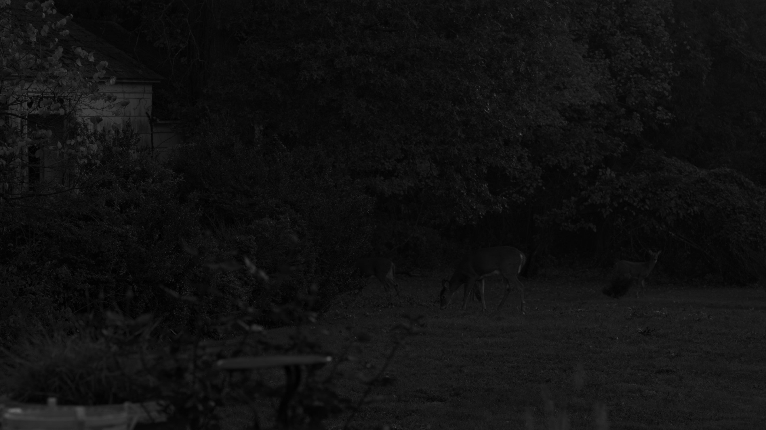 Image 56