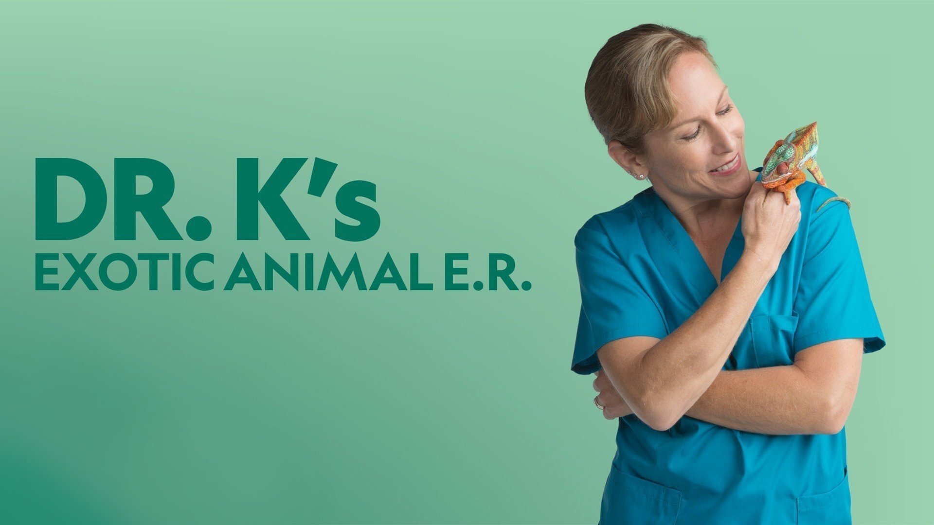 Dr. K's Exotic Animal ER