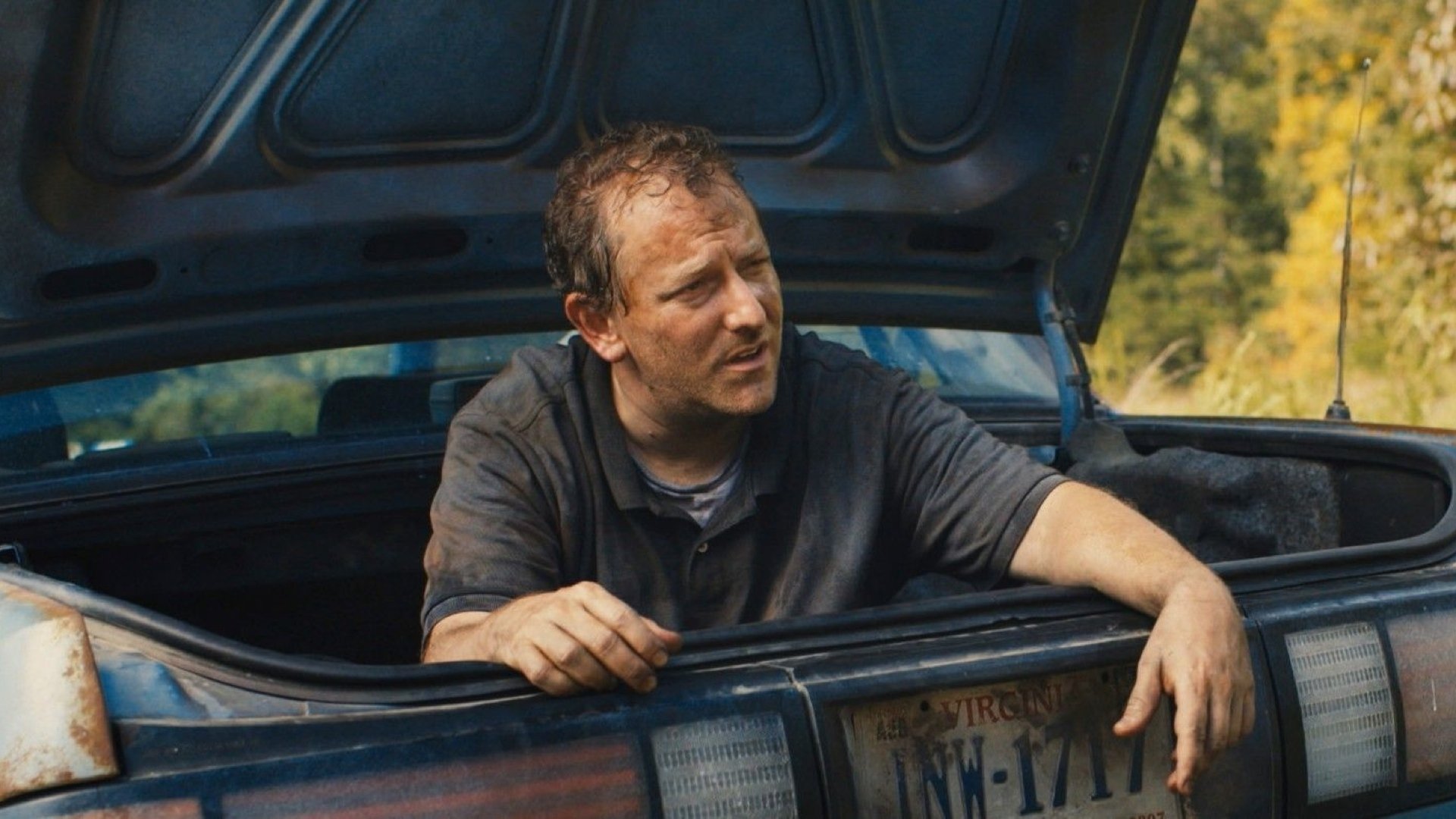 Blue Ruin (2014)