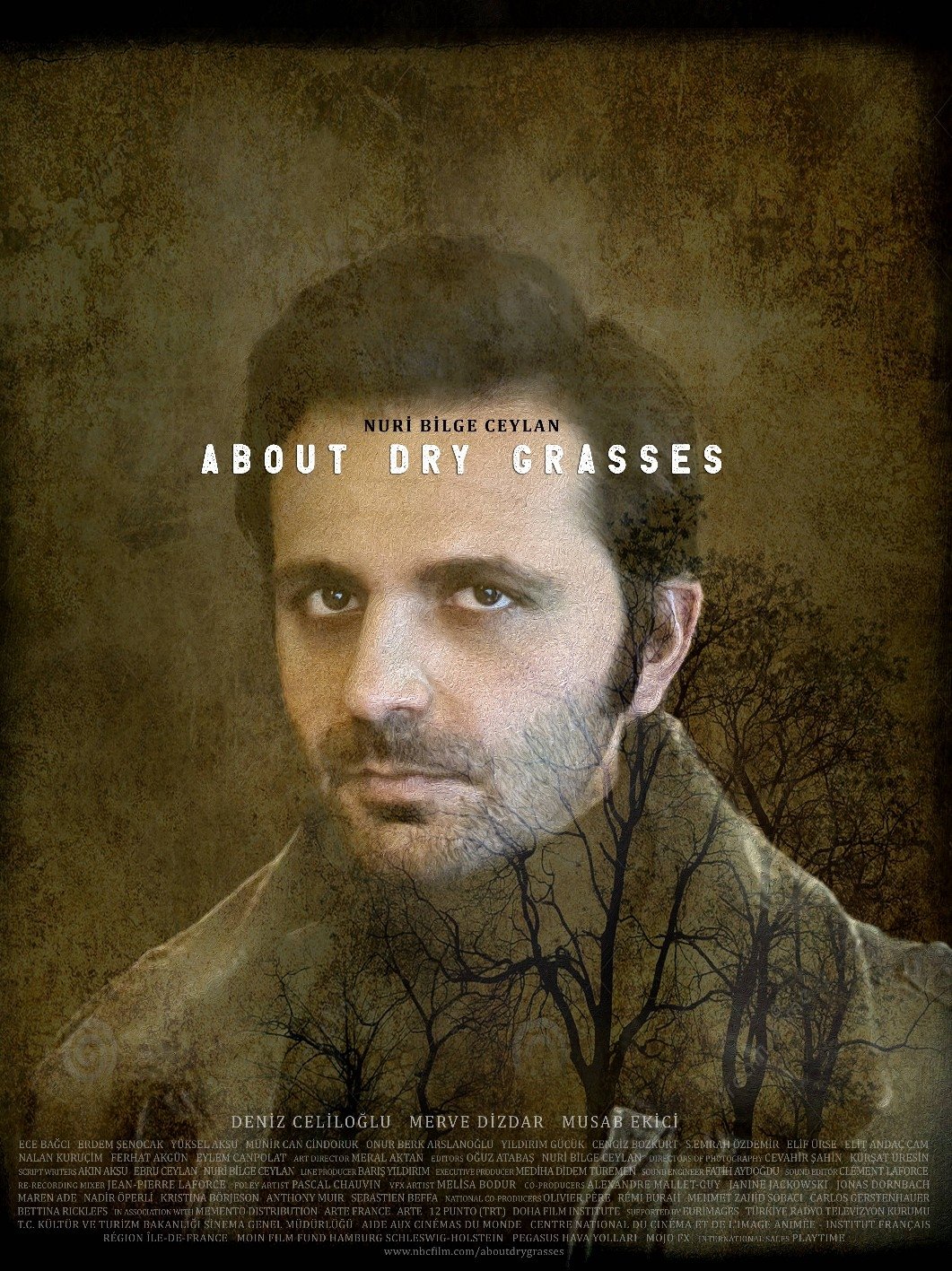About Dry Grasses