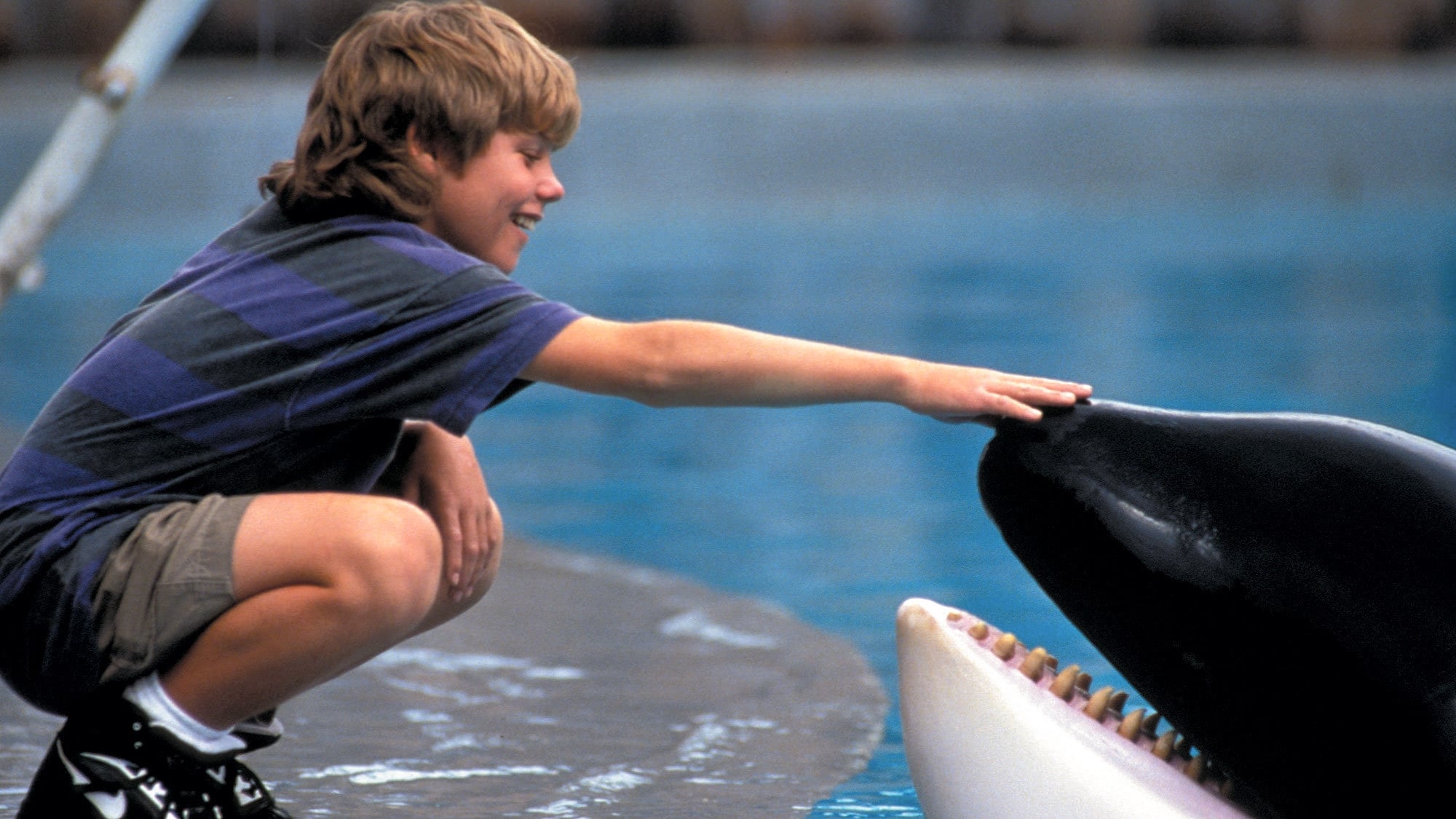 Free Willy - Un amico da salvare