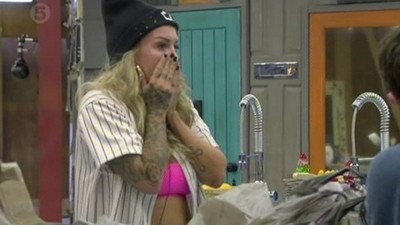 Big Brother 14x3