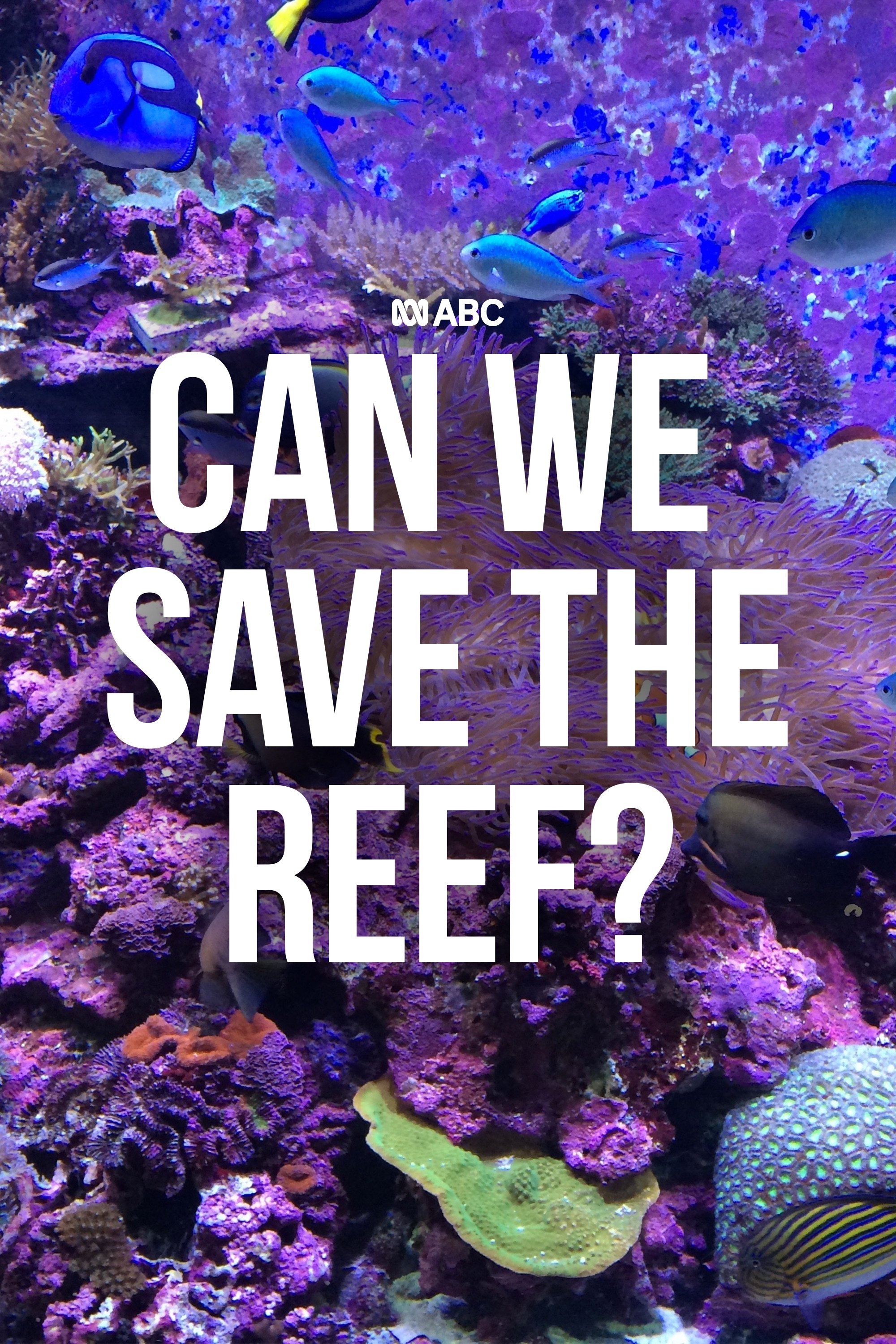 Can We Save the Reef?
