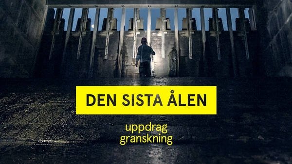 Uppdrag granskning - Épisode 21