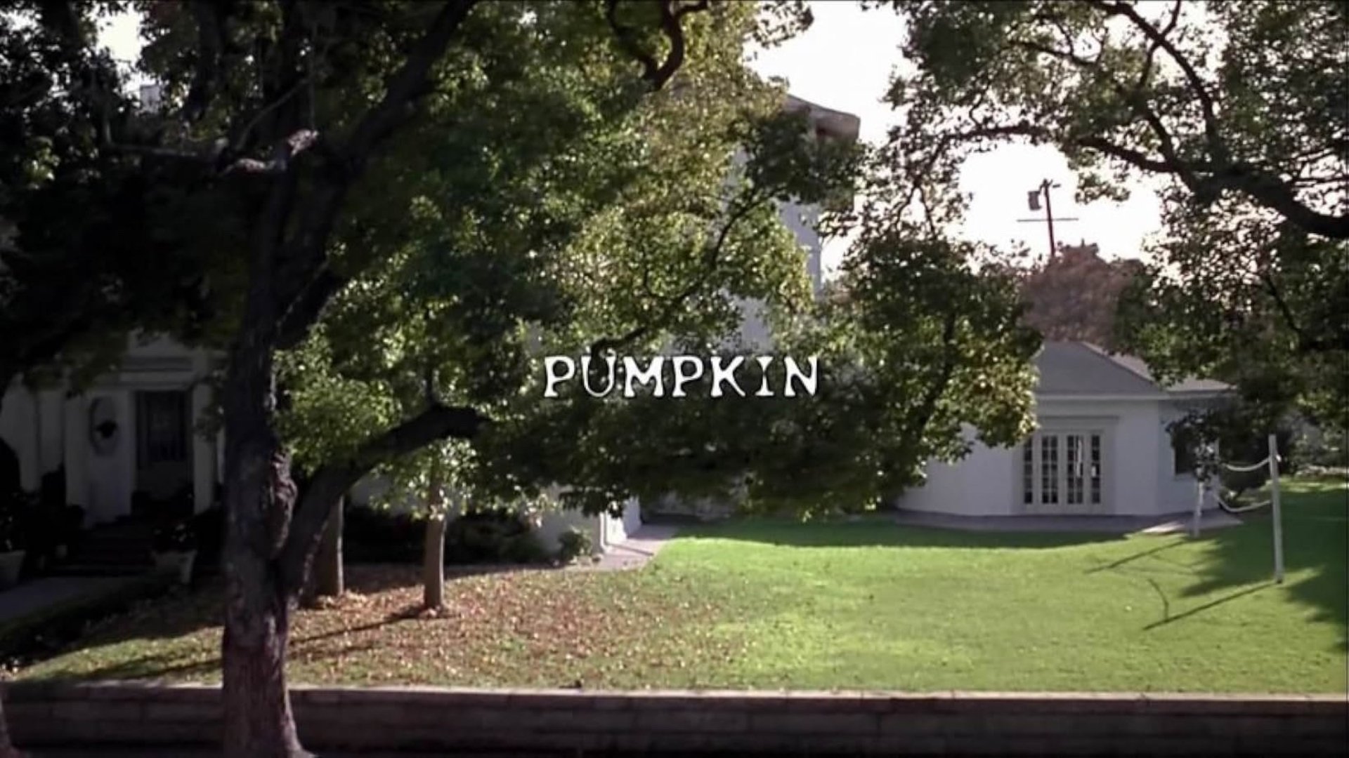 Pumpkin
