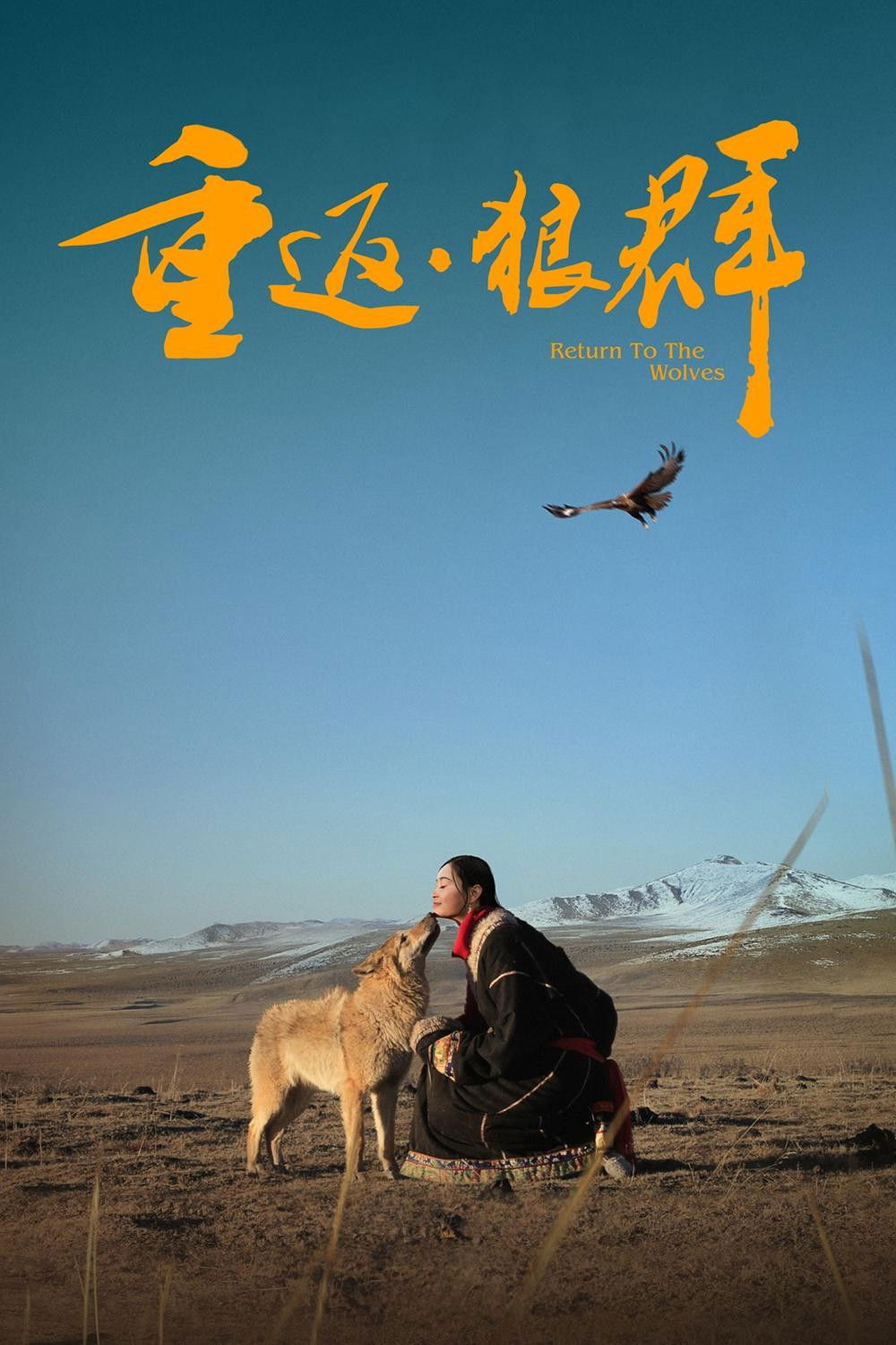 Return to the Wolves 10th Anniversary Special Poster