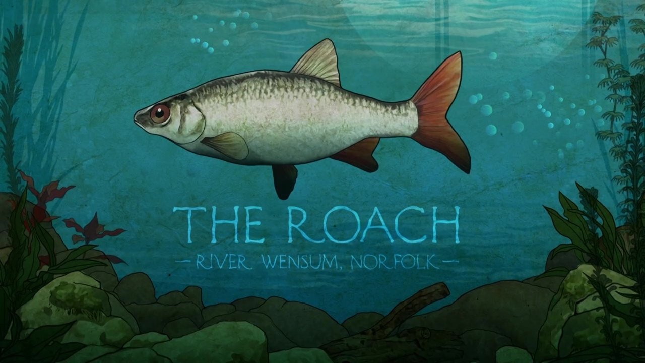 Episode 4