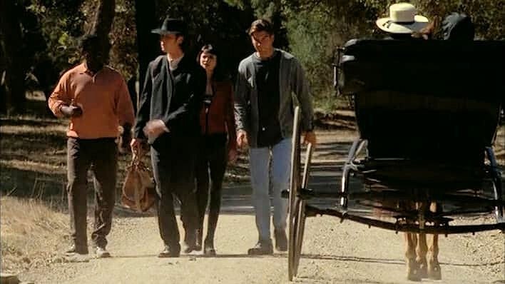 Sliders
