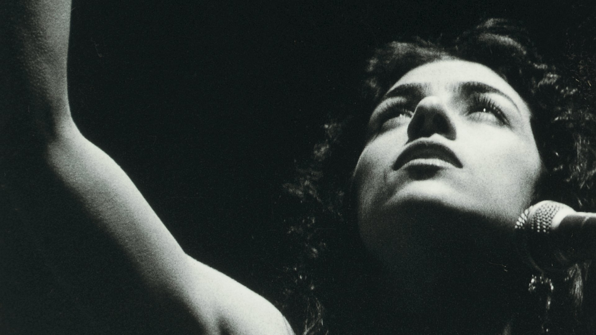 Marisa Monte: Memórias, Crônicas e Declarações de Amor