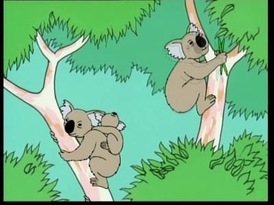 Thumbnail for Australia - Koala Season 1 Episode 12