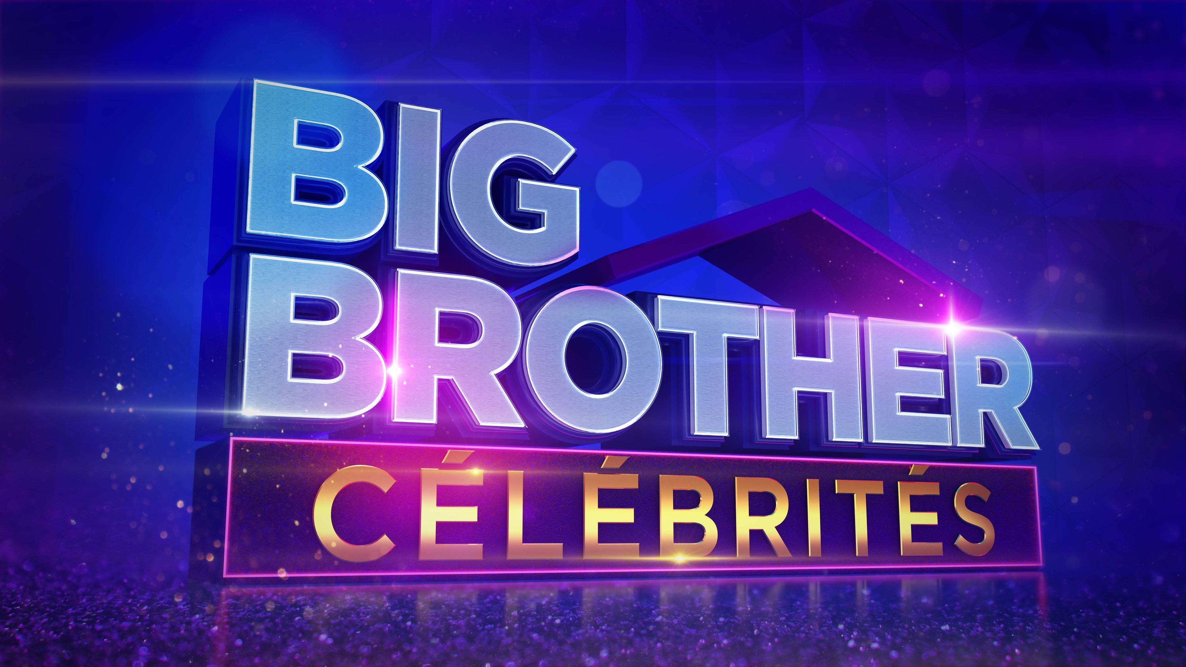 Big Brother Célébrités