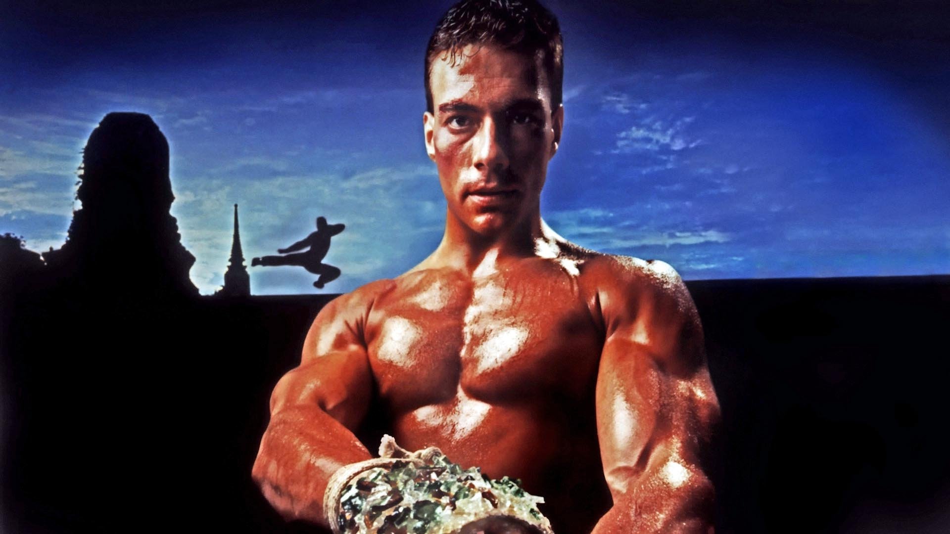 Kickboxer Collection