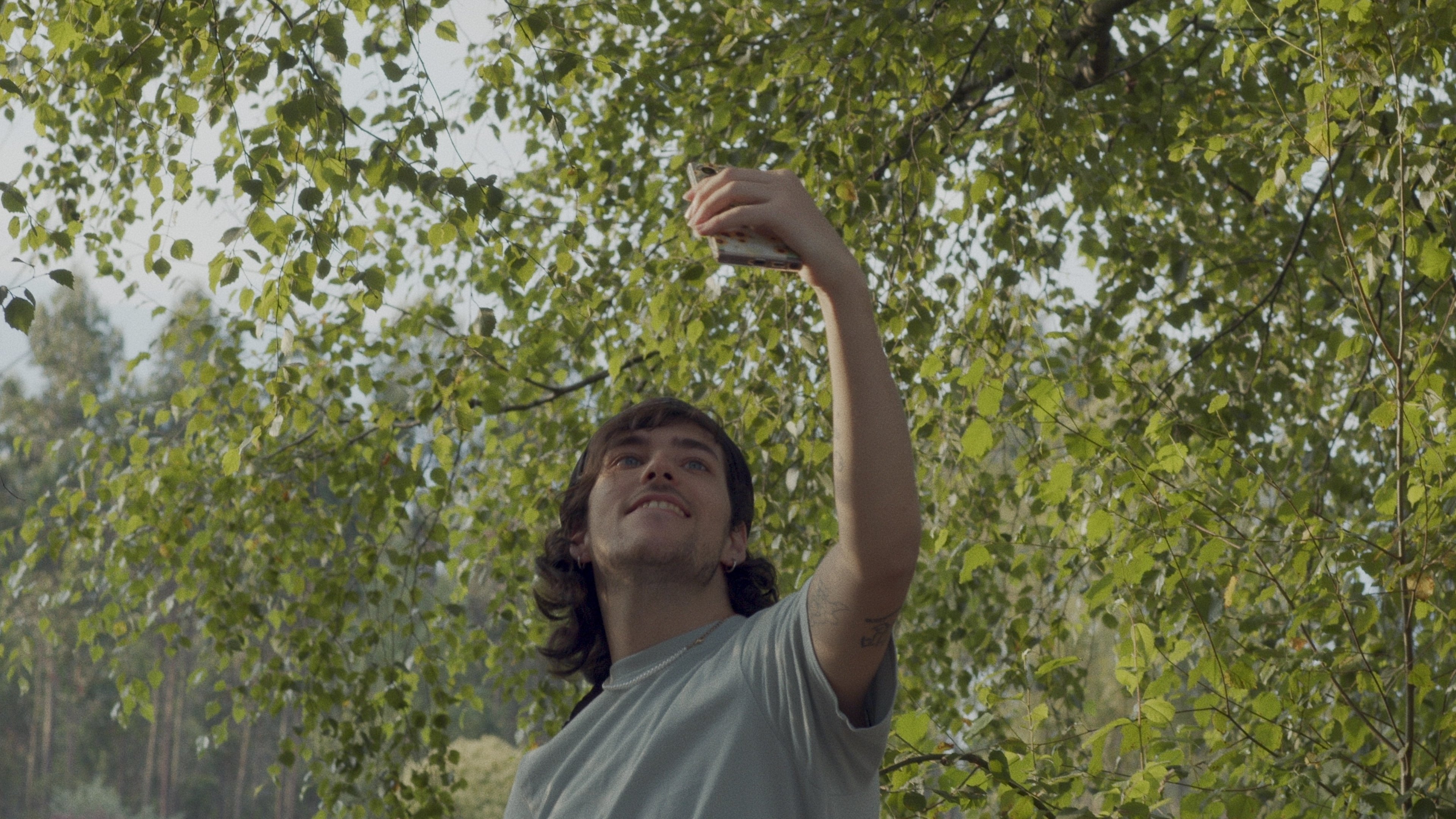 Blow Down (2024)