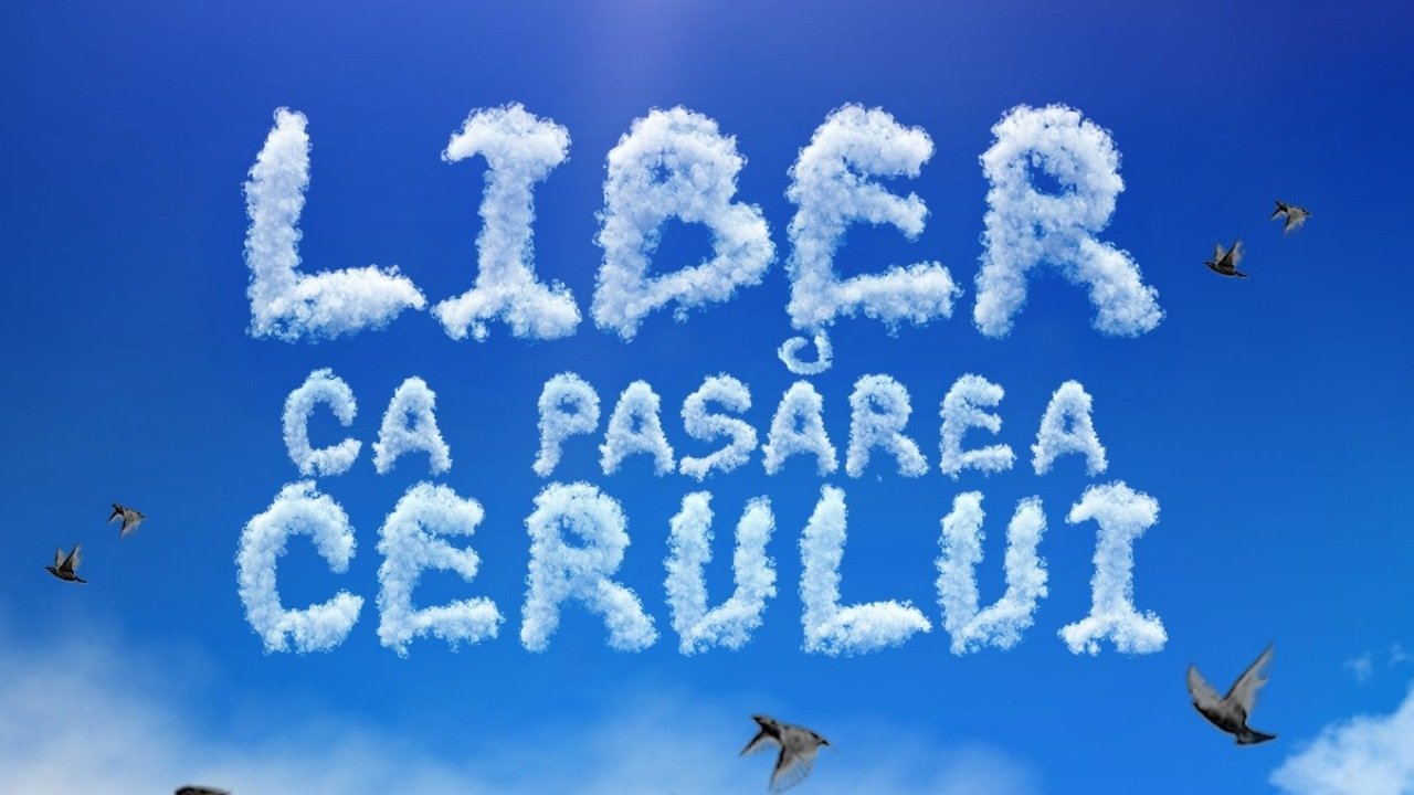 Backdrop Liber ca pasărea cerului
