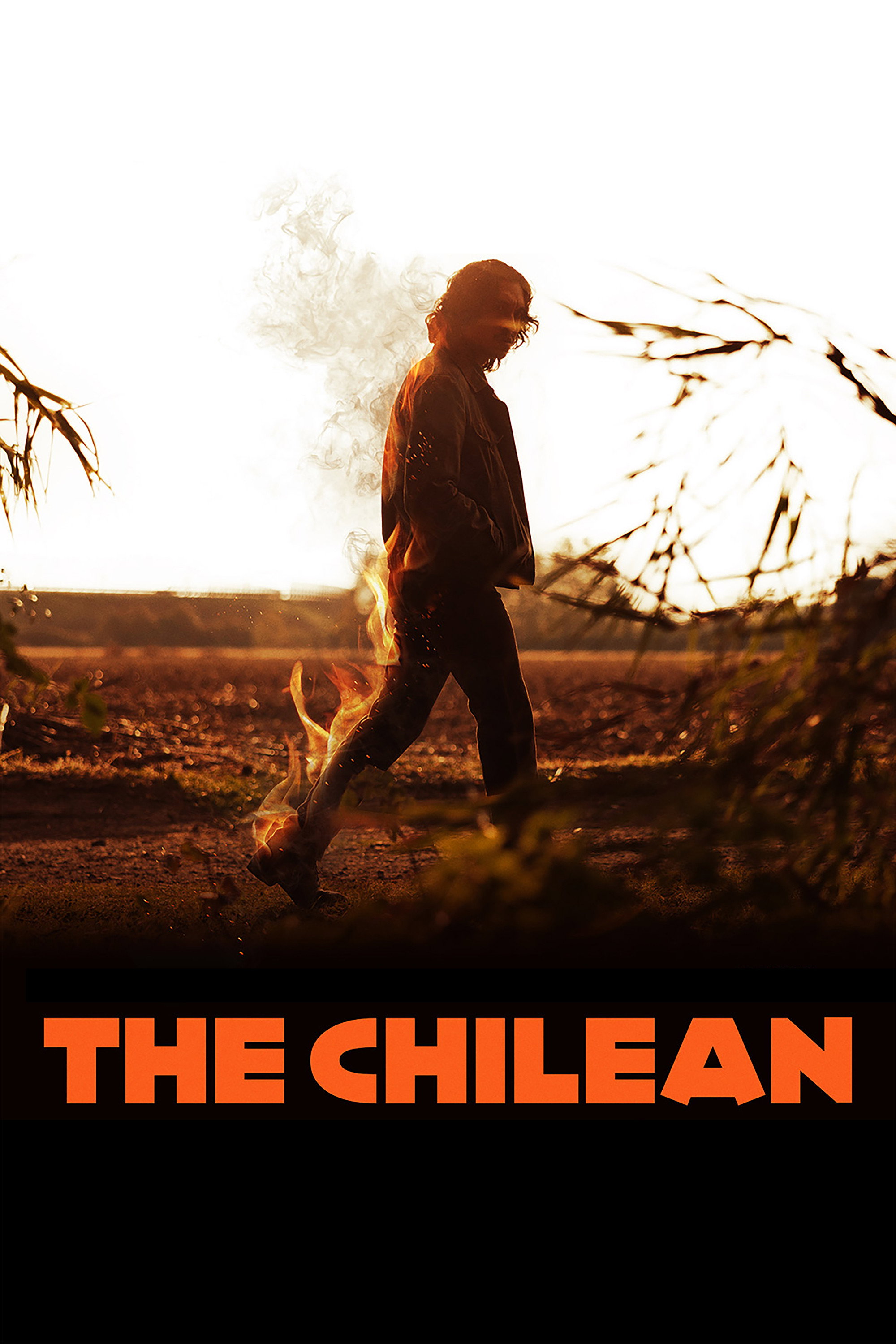 poster movie The Chilean