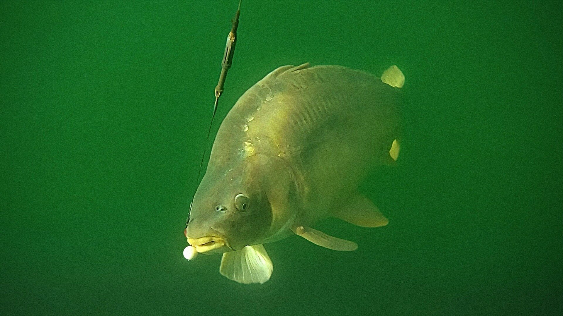 The Grand Fishing Adventure - Épisode 4