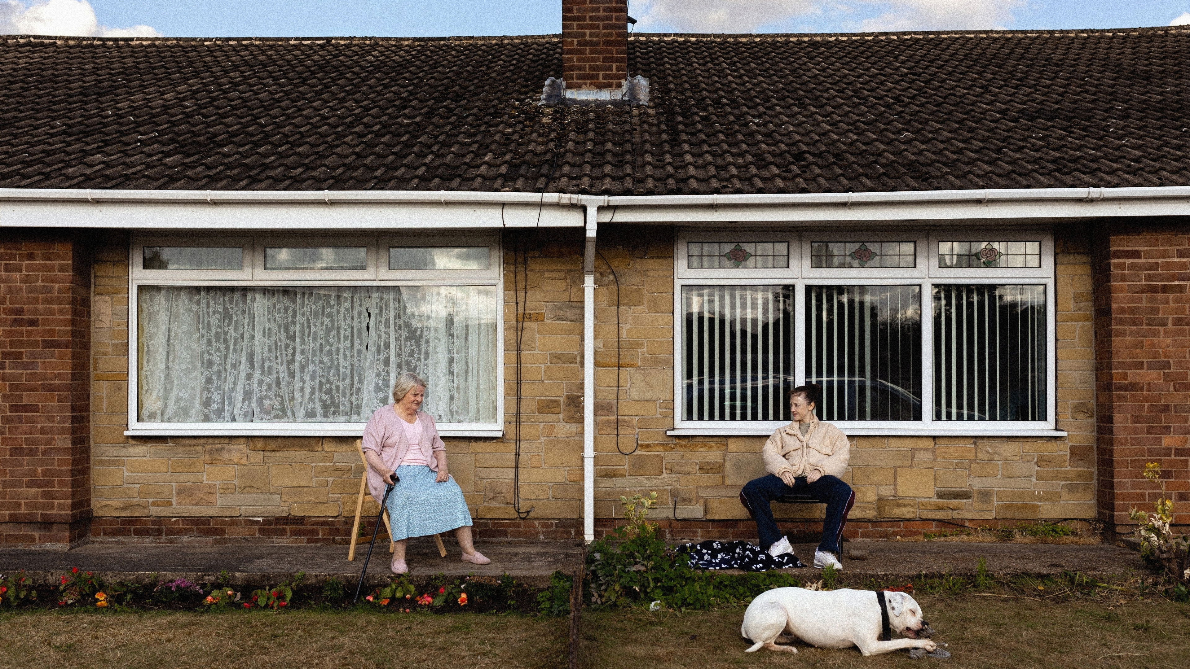 Dragonfly backdrop cover