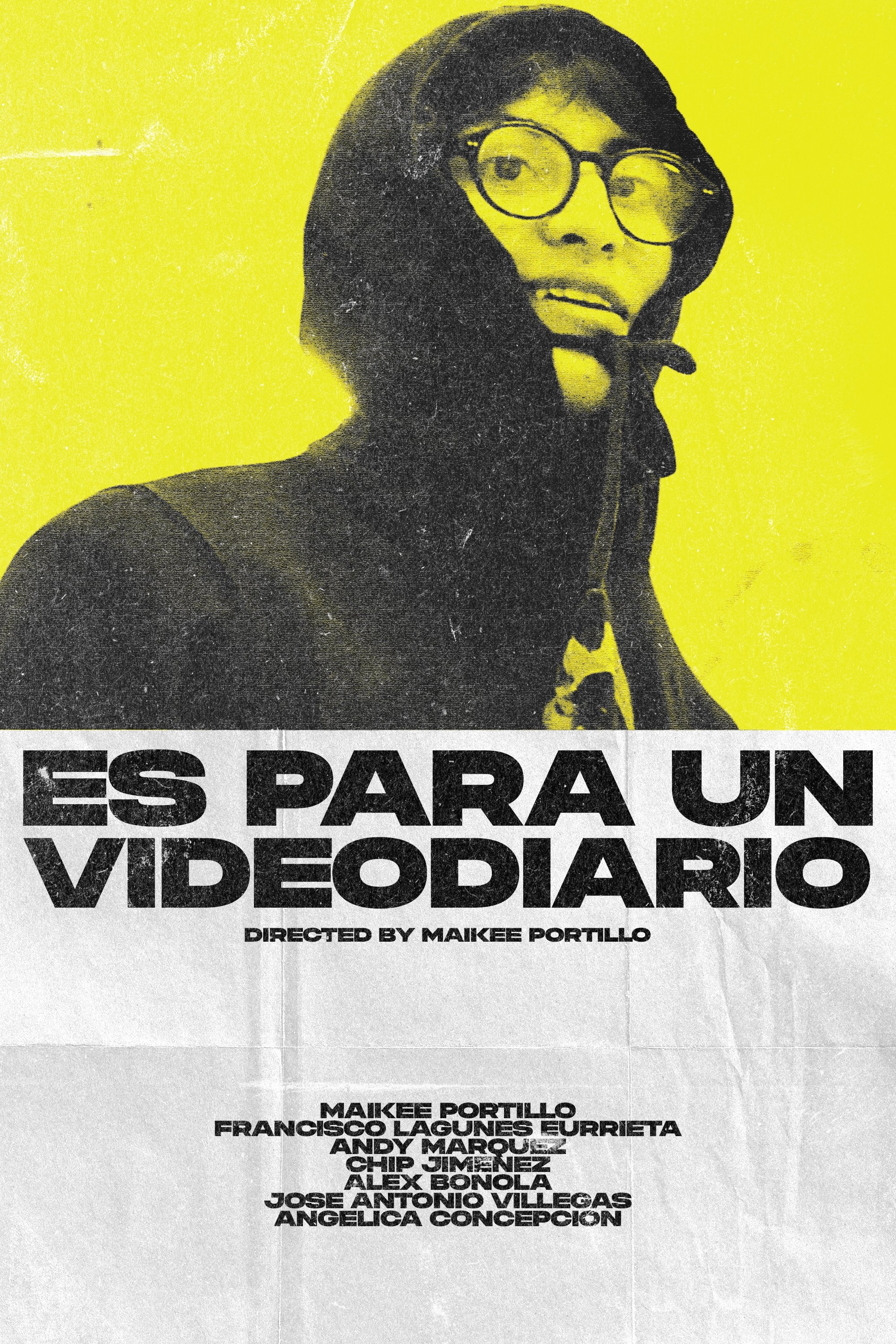 Es Para Un Videodiario
