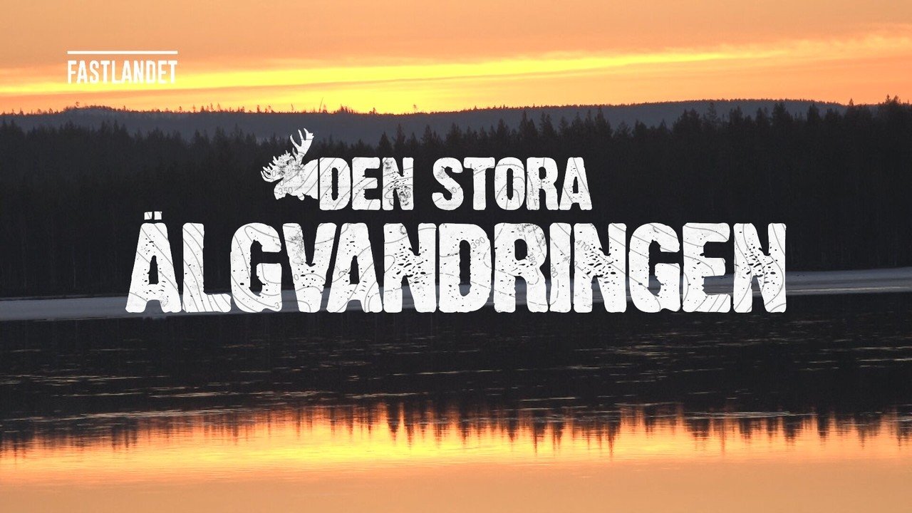 Den stora älgvandringen