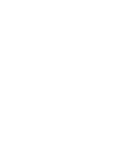 Down Film