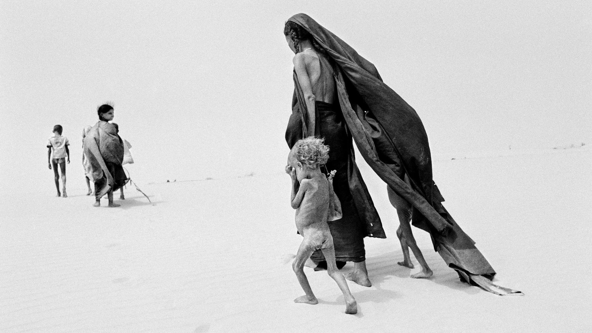 The Salt of the Earth (2014)