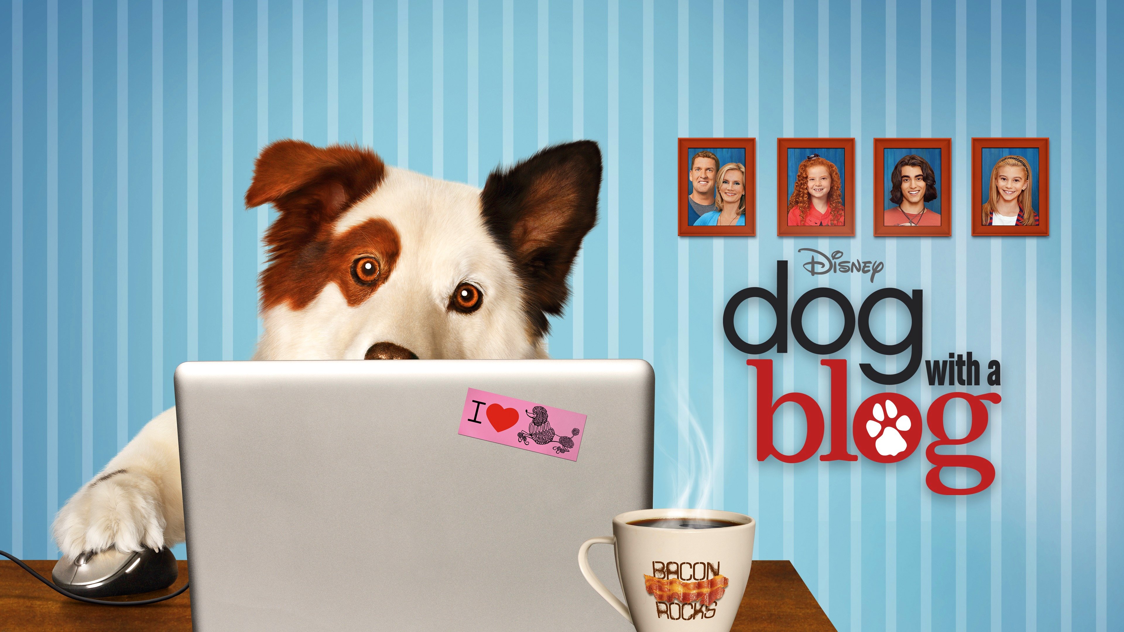 Dog with a Blog