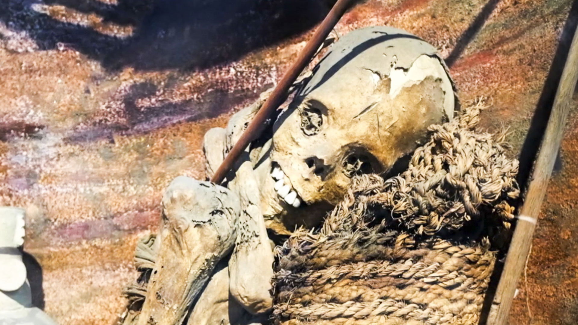 Thumbnail for Creature of Lake Eacham Season 1 Episode 7