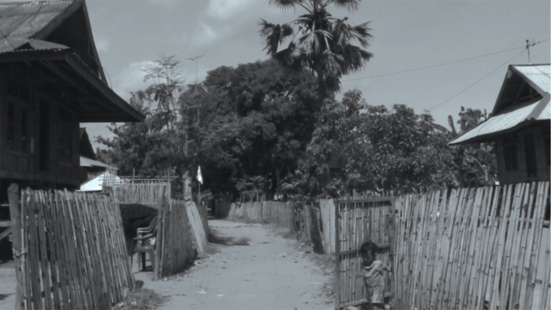 The Raging Soil (2014)