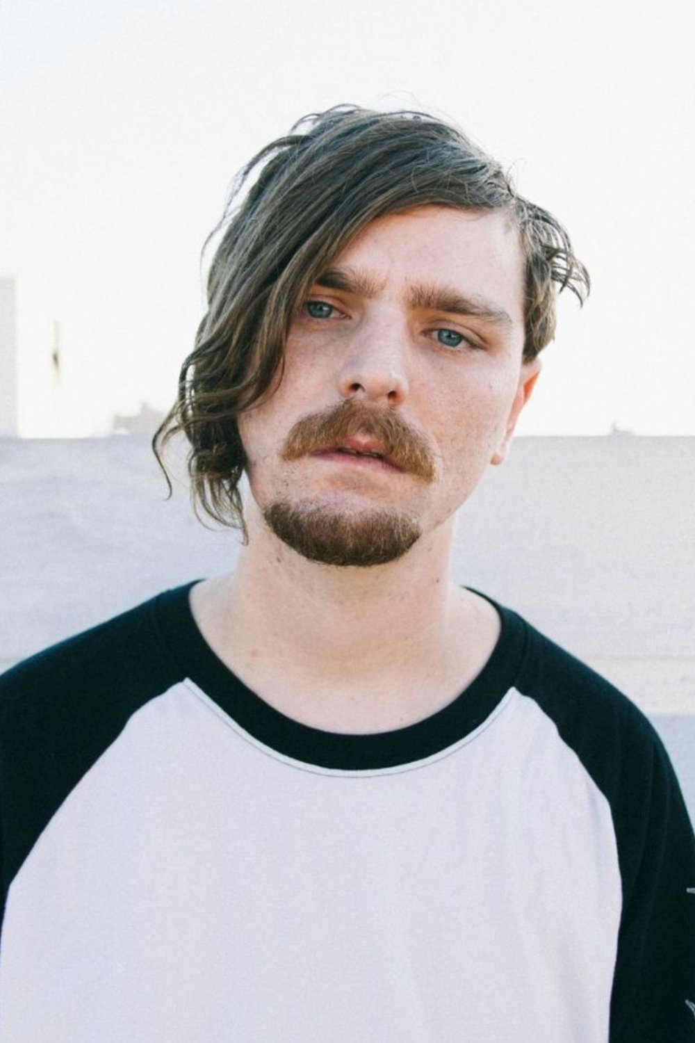 et billede af Horse Head