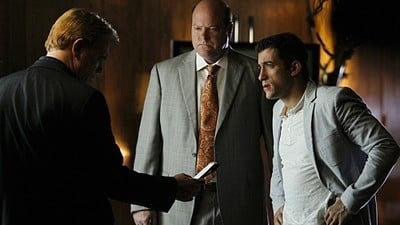 CSI: Miami - Season 9 Episode 19 : Enjaulados (2012)
