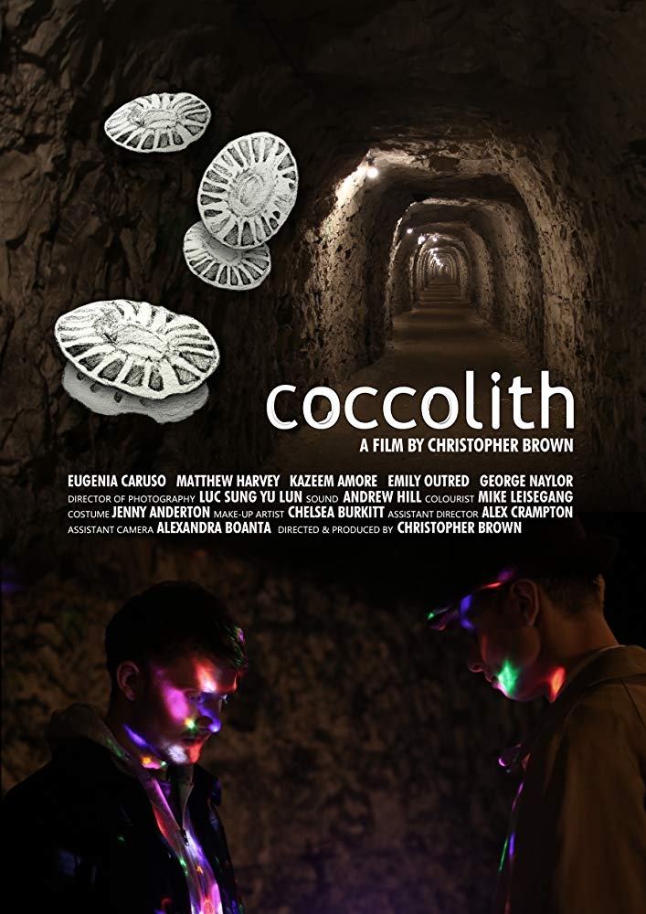 coccolith coccolith