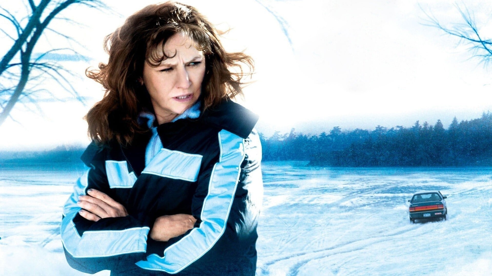 Frozen River (2008)