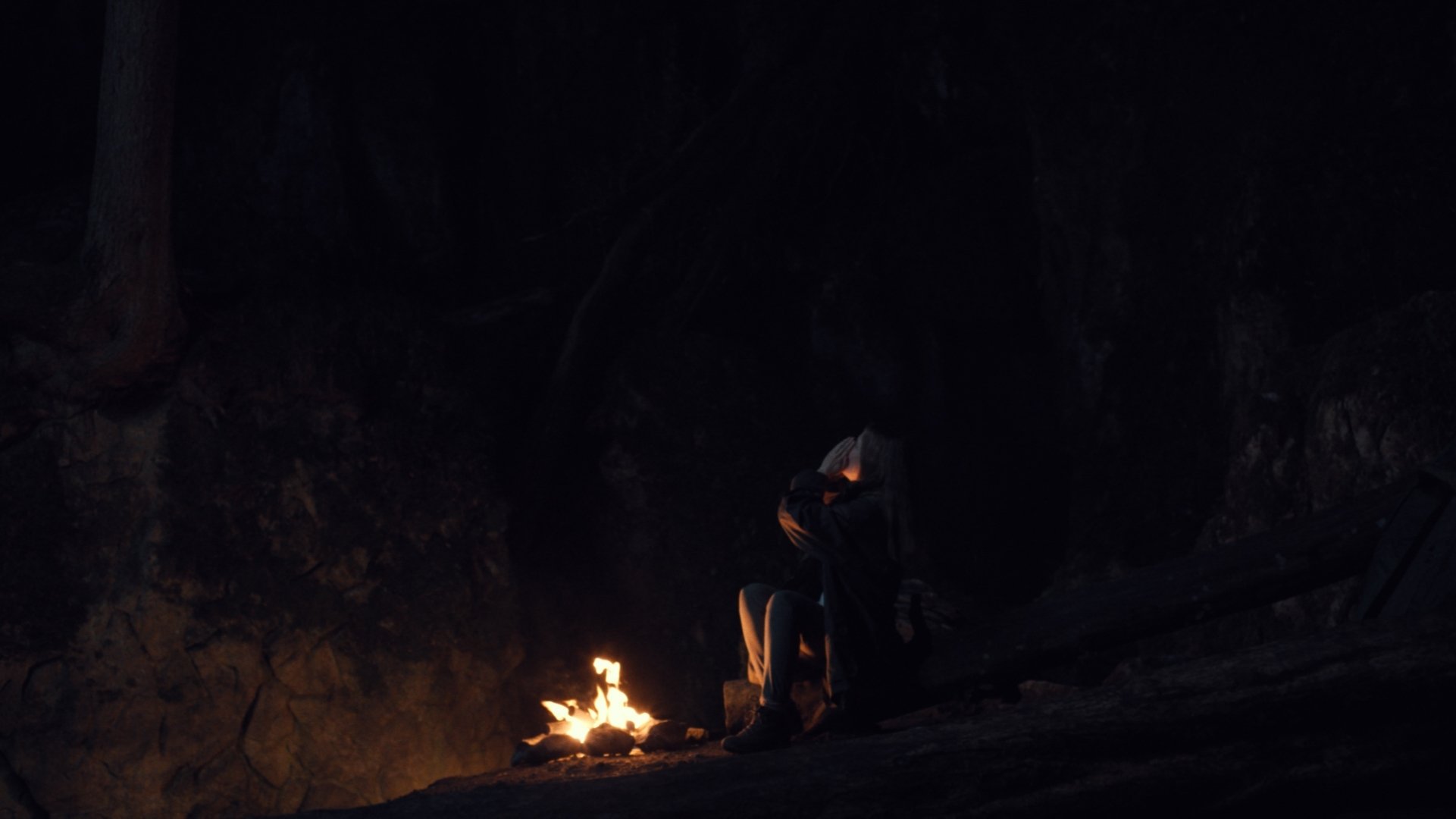 Nebelkind: The End of Silence