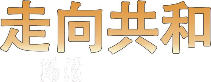 For the Sake of the Republic