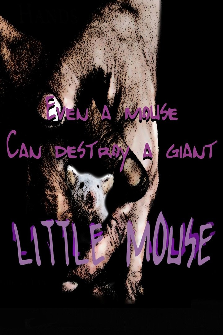 Little Mouse Little Mouse